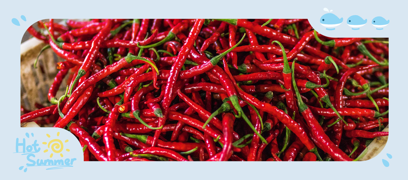 东升pg娱乐游戏官网