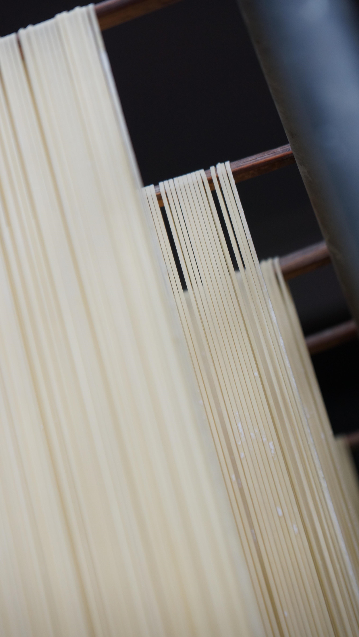 东升pg娱乐游戏官网